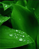 anim176220mobildesign.atw.hu_0291.gif